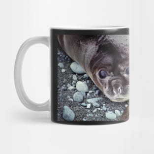 Babies, Nose to Tail. Southern Elephant Seal Pups, Macquarie Island Mug